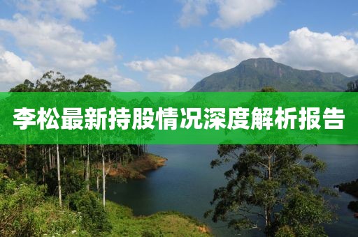 李松最新持股情况深度解析报告
