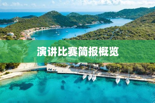演讲比赛简报概览