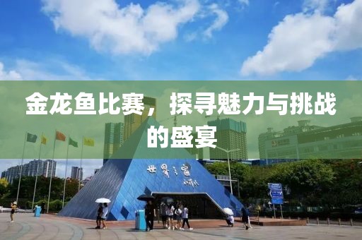 金龙鱼比赛，探寻魅力与挑战的盛宴