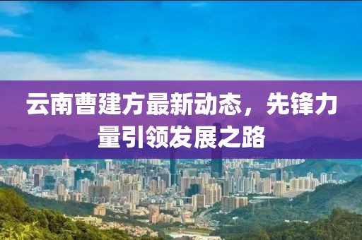 云南曹建方最新动态，先锋力量引领发展之路