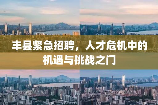 丰县紧急招聘，人才危机中的机遇与挑战之门