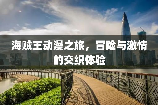 海贼王动漫之旅，冒险与激情的交织体验
