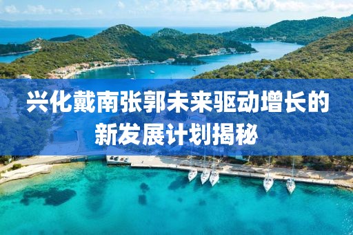 兴化戴南张郭未来驱动增长的新发展计划揭秘