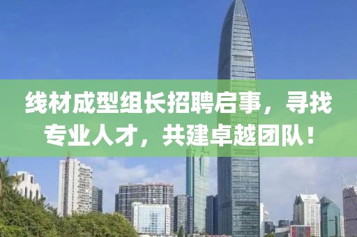 线材成型组长招聘启事，寻找专业人才，共建卓越团队！