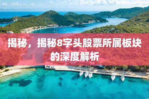 揭秘，揭秘8字头股票所属板块的深度解析