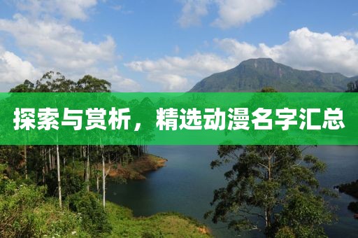 探索与赏析，精选动漫名字汇总