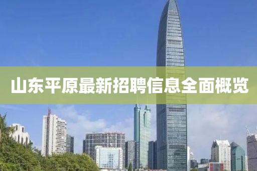 山东平原最新招聘信息全面概览