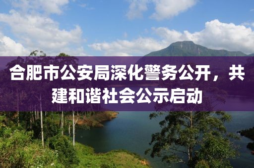 合肥市公安局深化警务公开，共建和谐社会公示启动