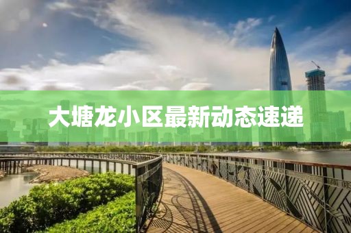 大塘龙小区最新动态速递