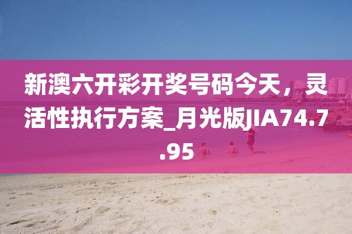 新澳六开彩开奖号码今天，灵活性执行方案_月光版JIA74.7.95