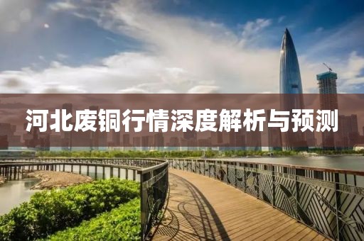 河北废铜行情深度解析与预测