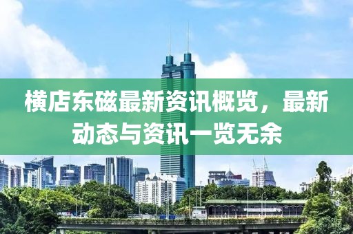 横店东磁最新资讯概览，最新动态与资讯一览无余
