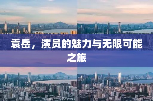 袁岳，演员的魅力与无限可能之旅