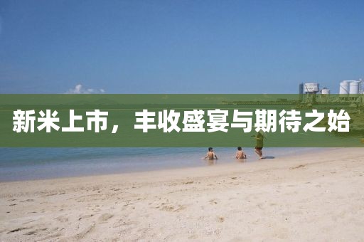新米上市，丰收盛宴与期待之始
