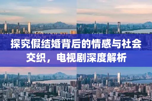 探究假结婚背后的情感与社会交织，电视剧深度解析