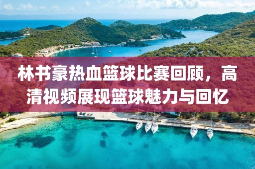 林书豪热血篮球比赛回顾，高清视频展现篮球魅力与回忆
