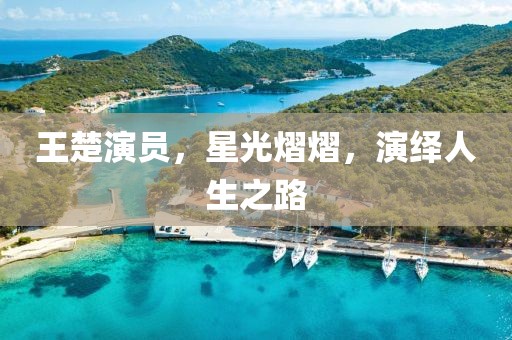 王楚演员，星光熠熠，演绎人生之路
