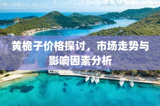 黄桅子价格探讨，市场走势与影响因素分析