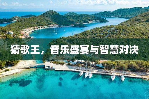 猜歌王，音乐盛宴与智慧对决