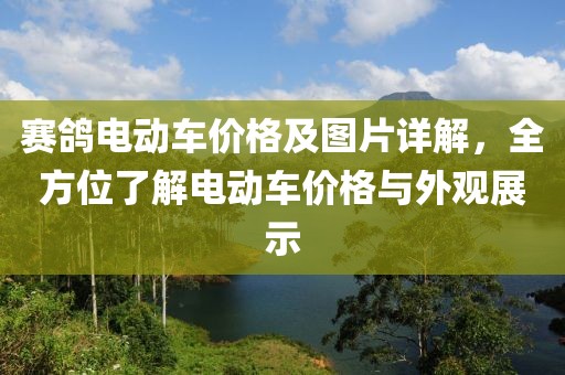 赛鸽电动车价格及图片详解，全方位了解电动车价格与外观展示