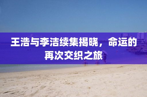 王浩与李洁续集揭晓，命运的再次交织之旅