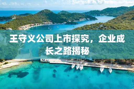 王守义公司上市探究，企业成长之路揭秘