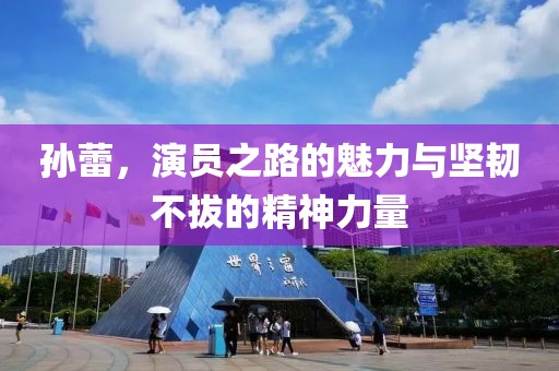 孙蕾，演员之路的魅力与坚韧不拔的精神力量