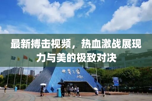 最新搏击视频，热血激战展现力与美的极致对决