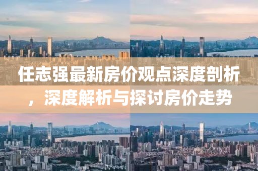 任志强最新房价观点深度剖析，深度解析与探讨房价走势