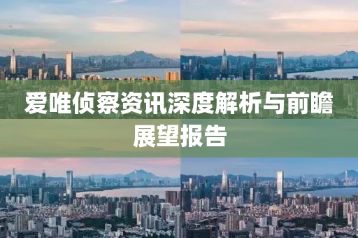 爱唯侦察资讯深度解析与前瞻展望报告
