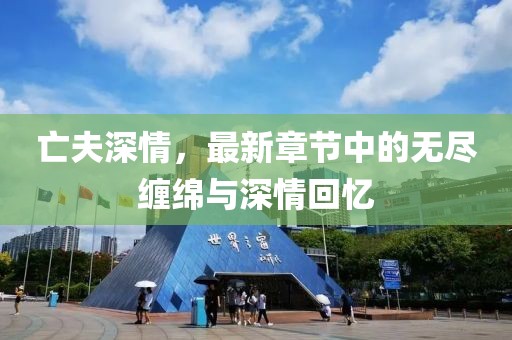 亡夫深情，最新章节中的无尽缠绵与深情回忆