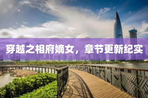 穿越之相府嫡女，章节更新纪实