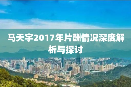 马天宇2017年片酬情况深度解析与探讨