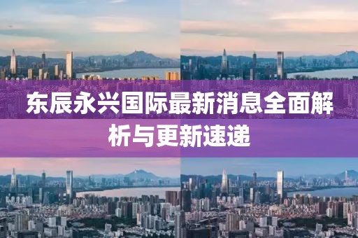 东辰永兴国际最新消息全面解析与更新速递