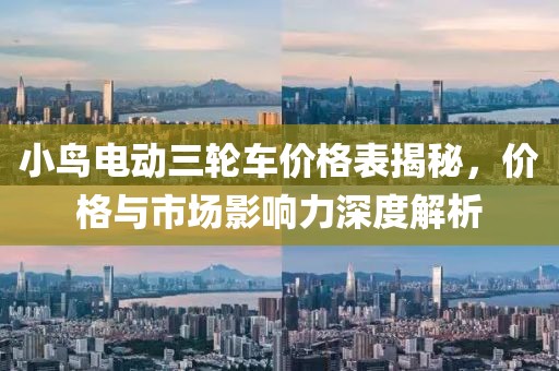 小鸟电动三轮车价格表揭秘，价格与市场影响力深度解析