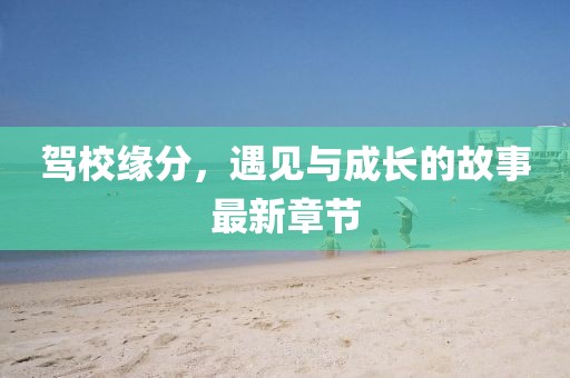 驾校缘分，遇见与成长的故事最新章节