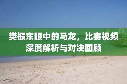 樊振东眼中的马龙，比赛视频深度解析与对决回顾