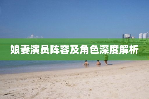 娘妻演员阵容及角色深度解析