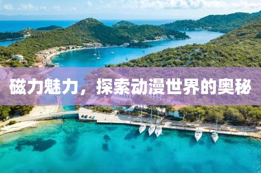 磁力魅力，探索动漫世界的奥秘