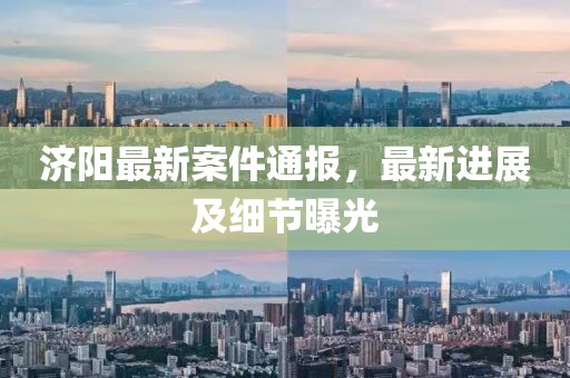 济阳最新案件通报，最新进展及细节曝光