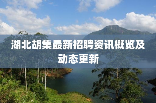 湖北胡集最新招聘资讯概览及动态更新
