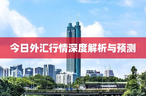 今日外汇行情深度解析与预测