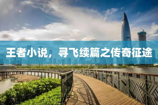 王者小说，寻飞续篇之传奇征途