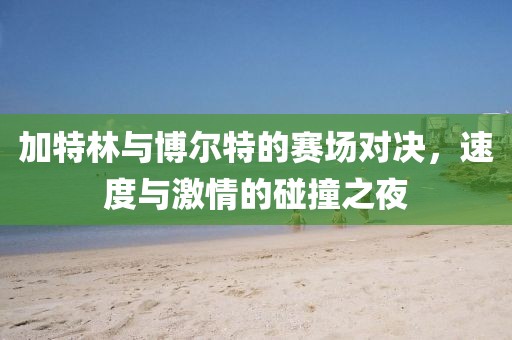 加特林与博尔特的赛场对决，速度与激情的碰撞之夜