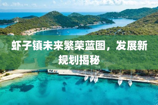 虾子镇未来繁荣蓝图，发展新规划揭秘