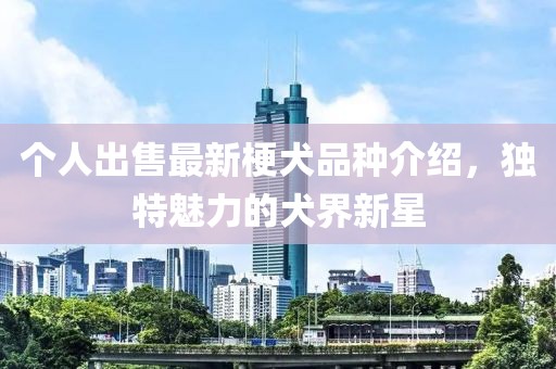 个人出售最新梗犬品种介绍，独特魅力的犬界新星