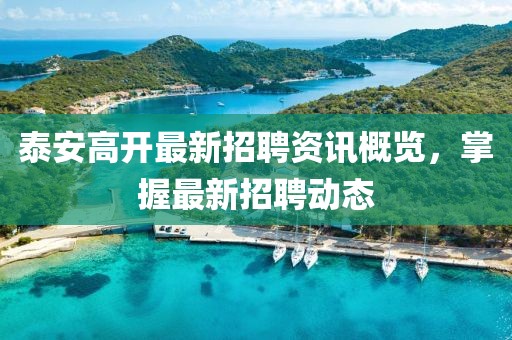 泰安高开最新招聘资讯概览，掌握最新招聘动态