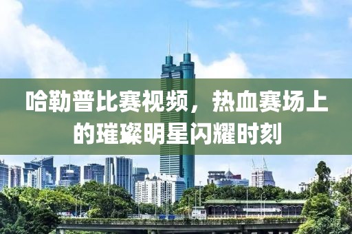 哈勒普比赛视频，热血赛场上的璀璨明星闪耀时刻