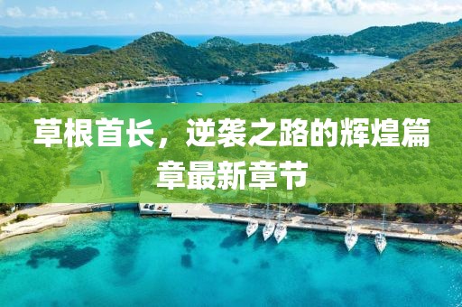 草根首长，逆袭之路的辉煌篇章最新章节