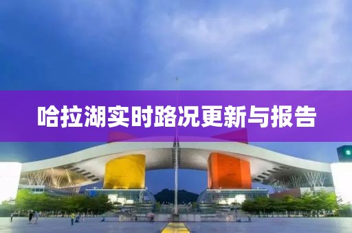 哈拉湖实时路况更新与报告